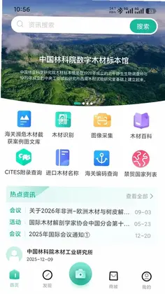 木材智预览图