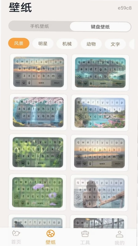 桌面电子萌宠预览图