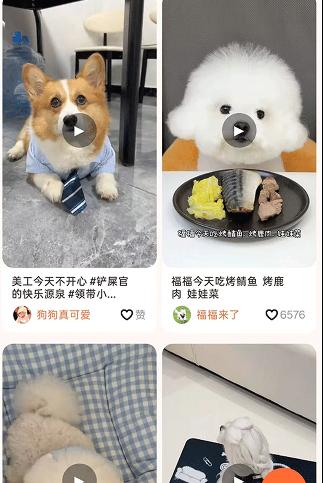 小灵宠互动界面