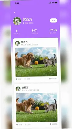 宠浪社区预览图