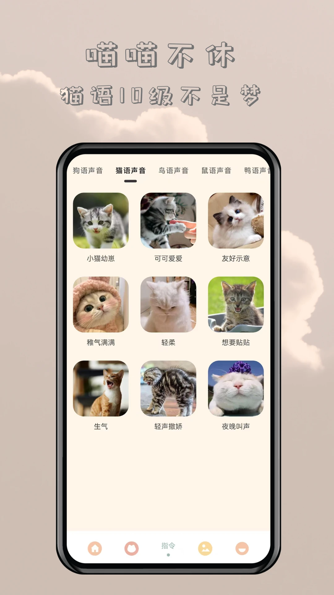 哆啦猫狗翻译器猫咪互动