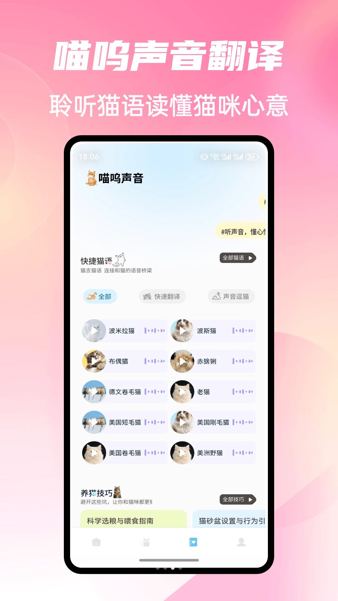 Cat Stylist头像制作界面