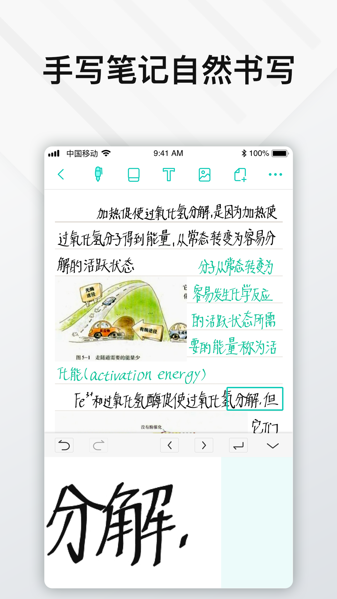 Elfinbook易飞OCR文字识别