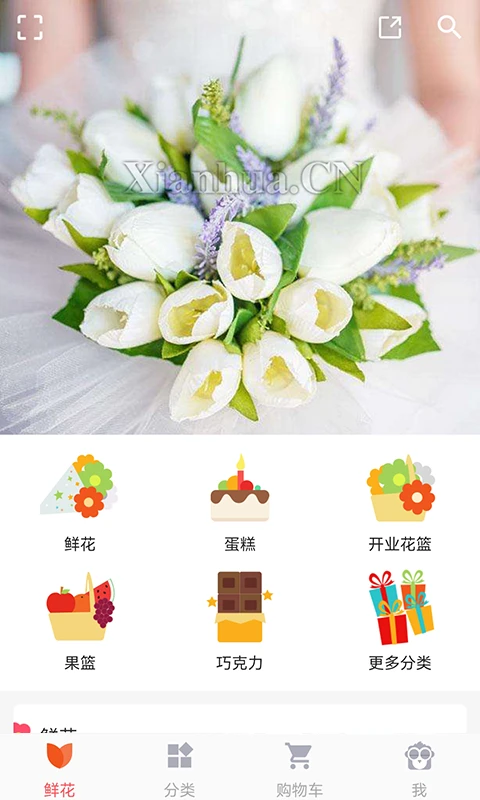 鲜花网预览图