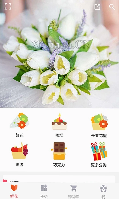 鲜花网预览图
