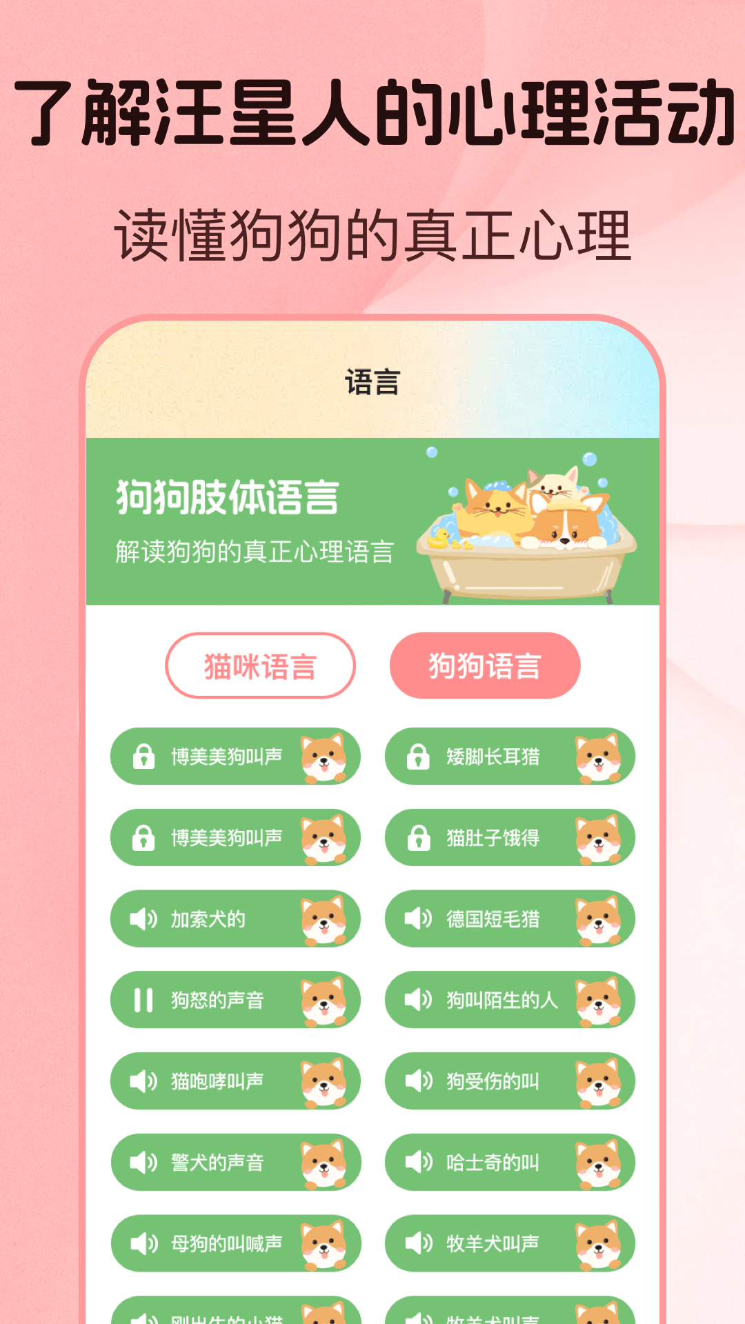 猫言狗语翻译器操作演示