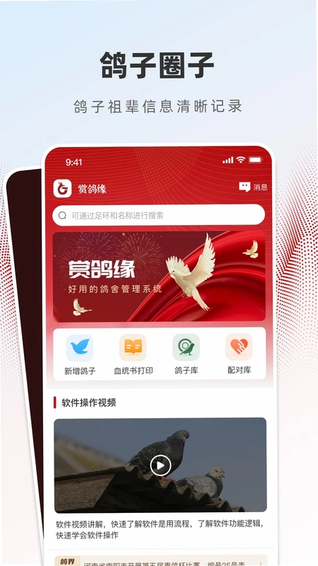 赏鸽缘预览图
