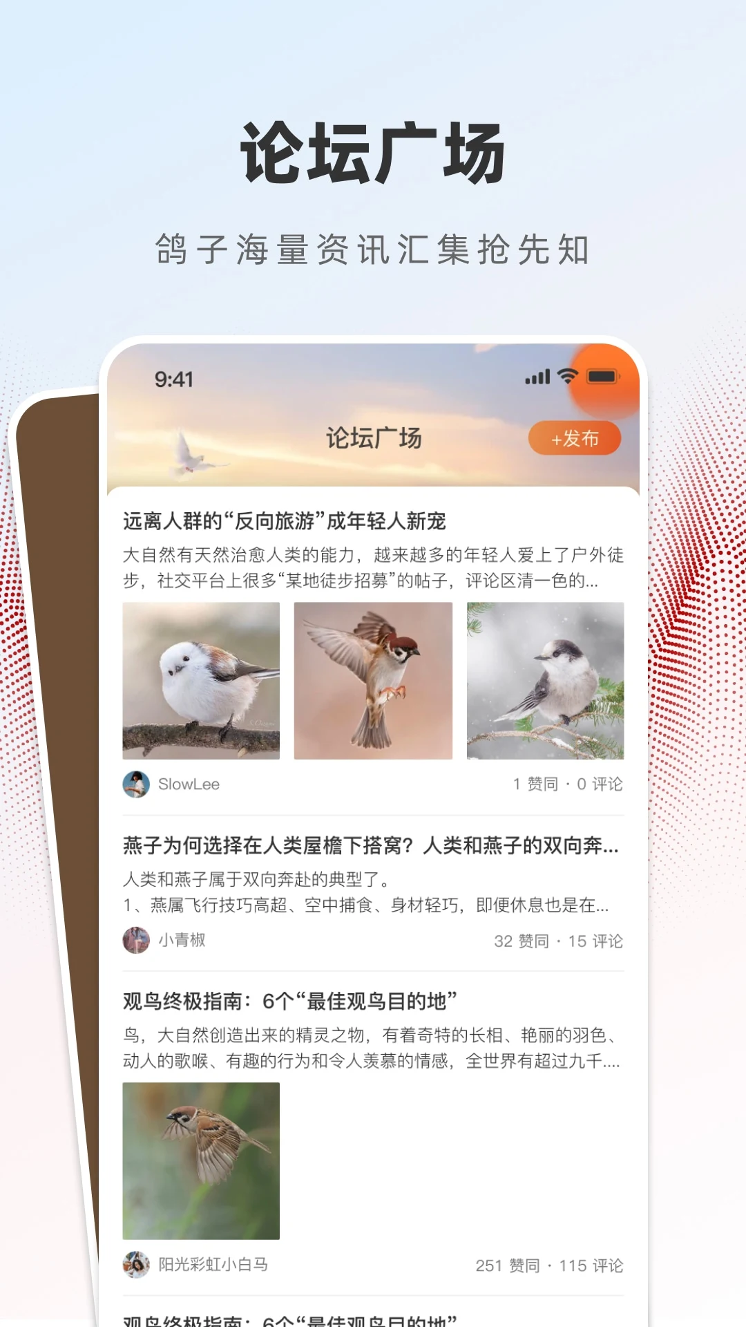 赏鸽缘鸽子转让界面