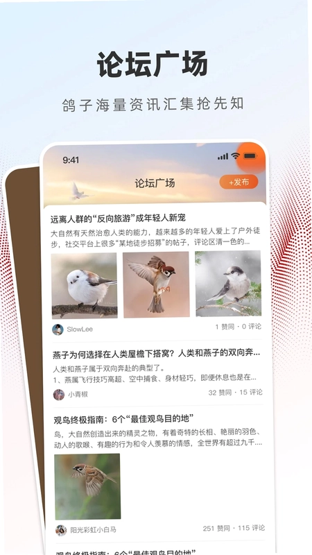 赏鸽缘预览图