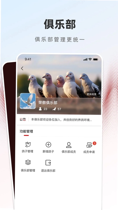 赏鸽缘预览图