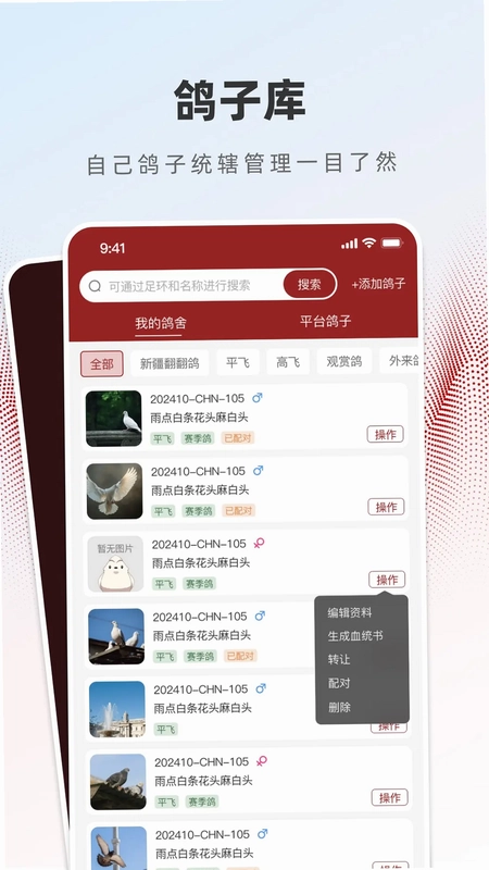 赏鸽缘预览图