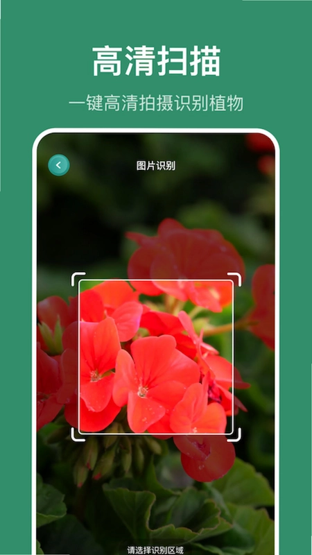 识花草预览图