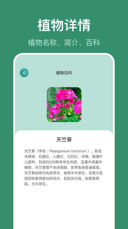 识花草百科知识