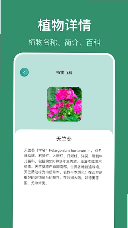 识花草预览图