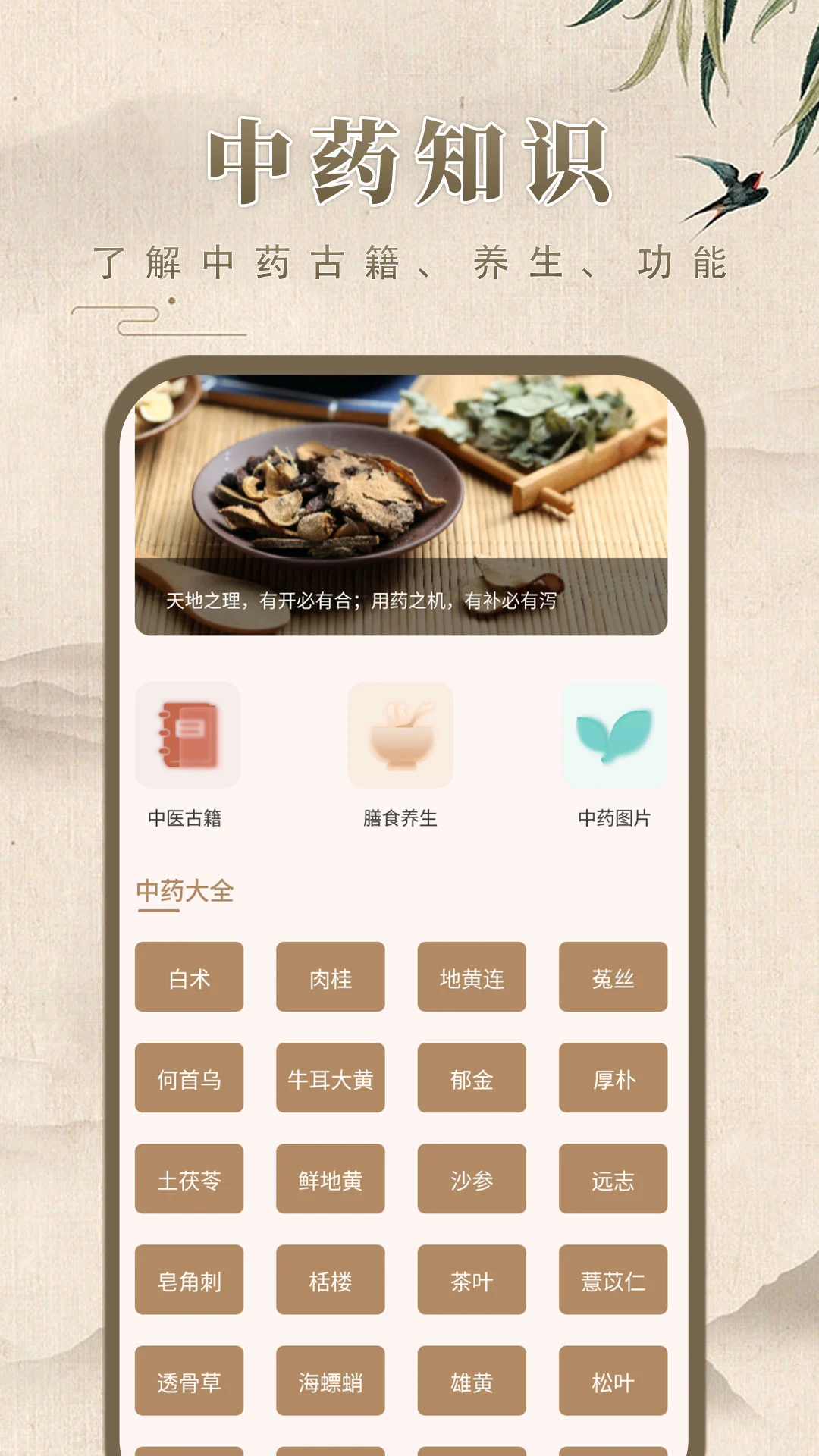 中药学应用界面