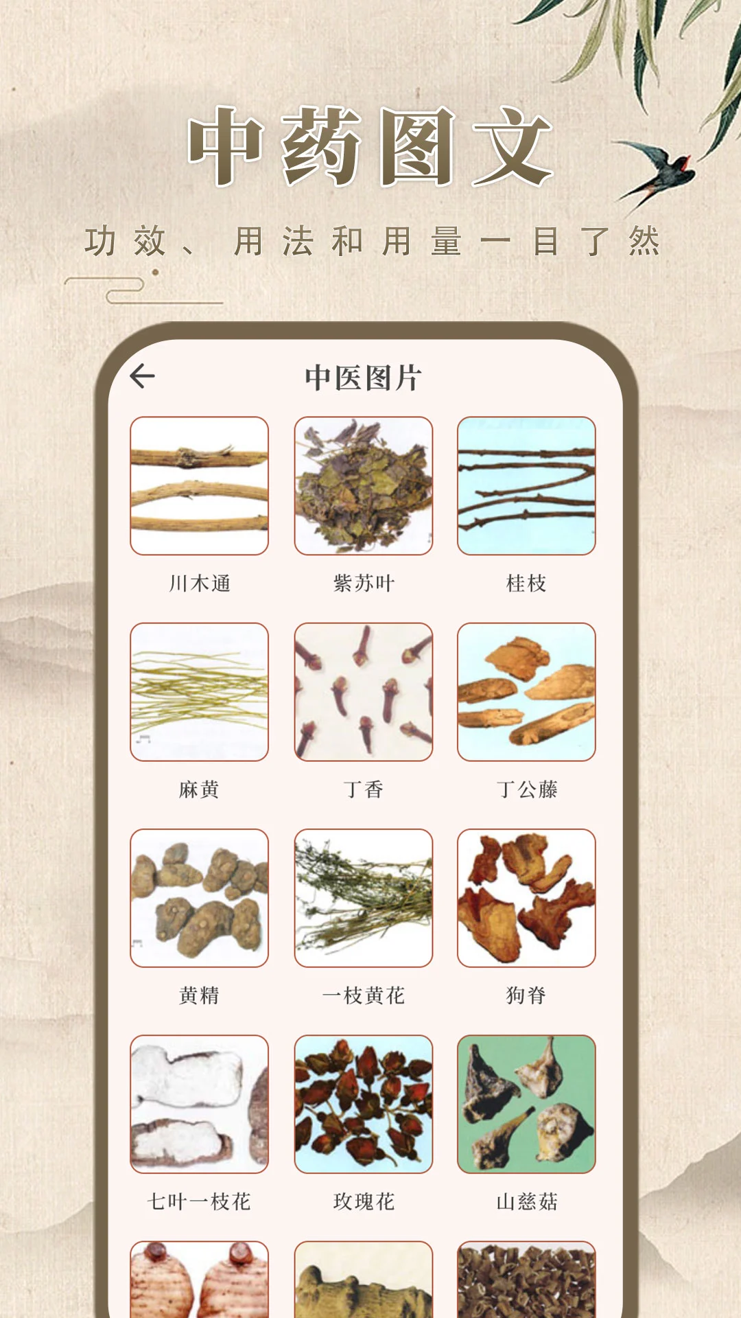中药学膳食养生