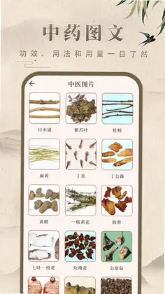 中药学预览图