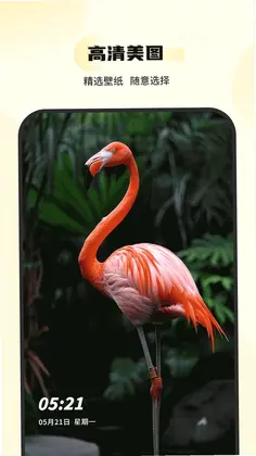 �����ֽԤ��ͼ