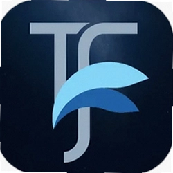TeamFree