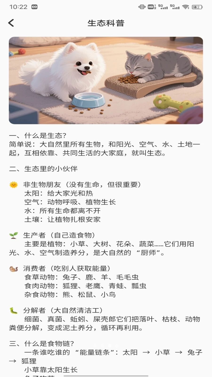猫猫物语园资讯界面