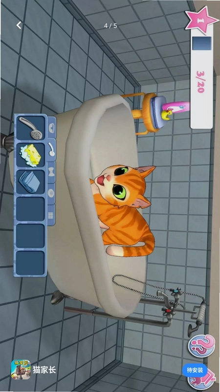 拯救流浪猫预览图