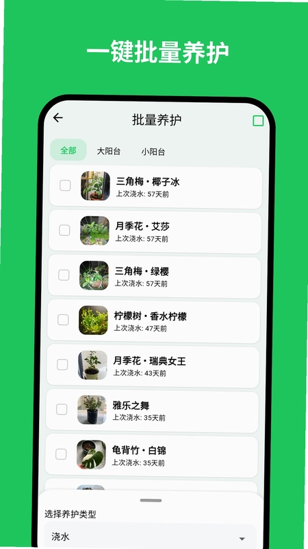 植迹预览图
