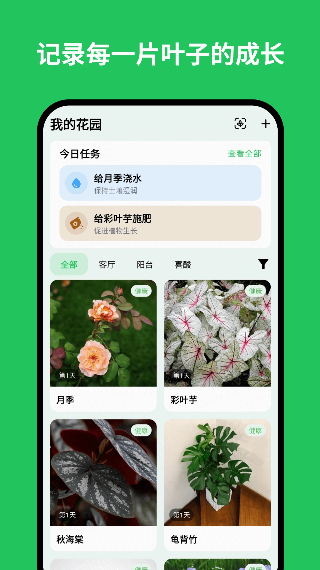 植迹植物识别养护