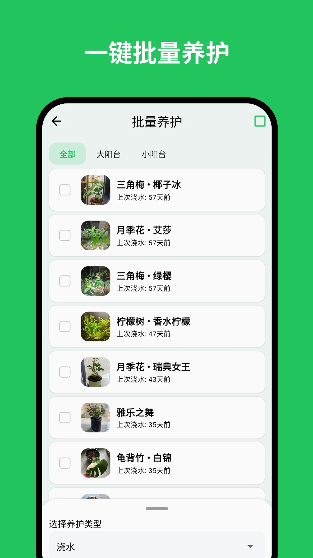 植迹成长档案时间轴