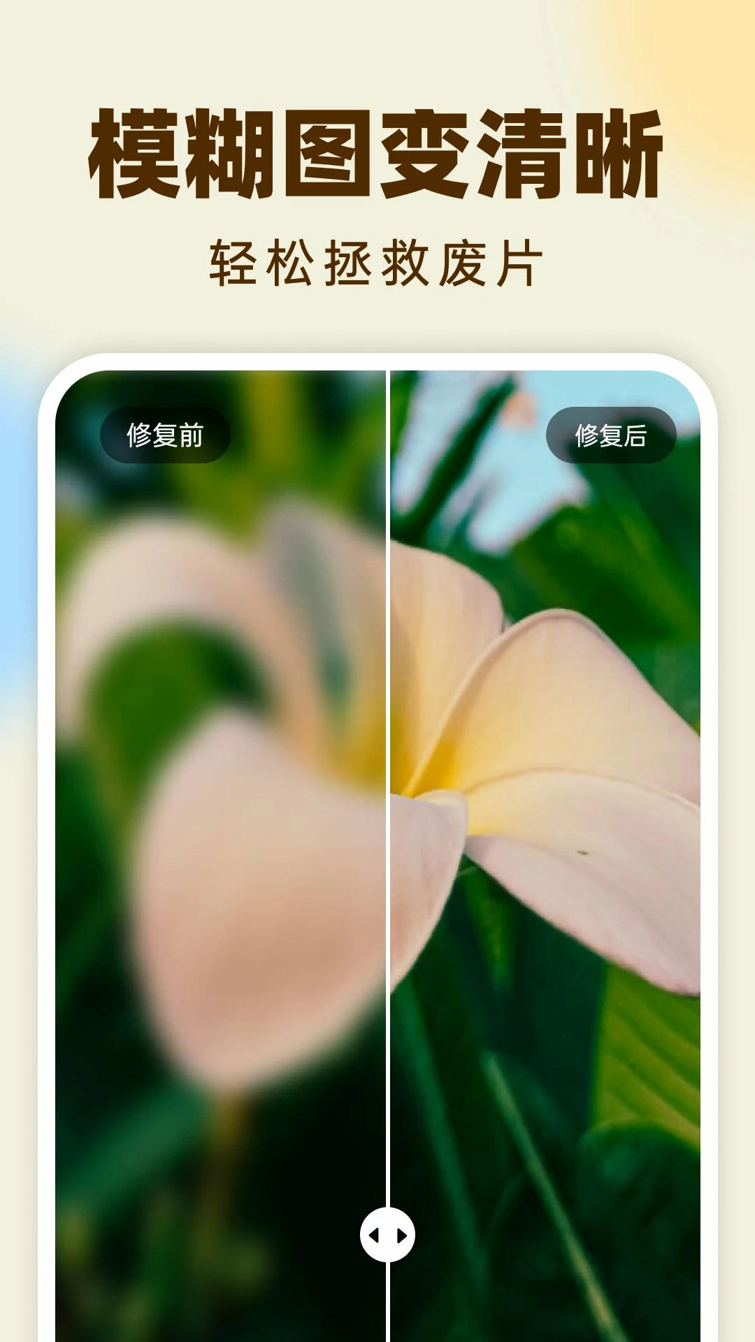 柠檬照片管家高清修复操作界面