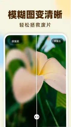 柠檬照片管家官方版预览图