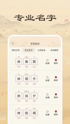 周大师起名取名预览图