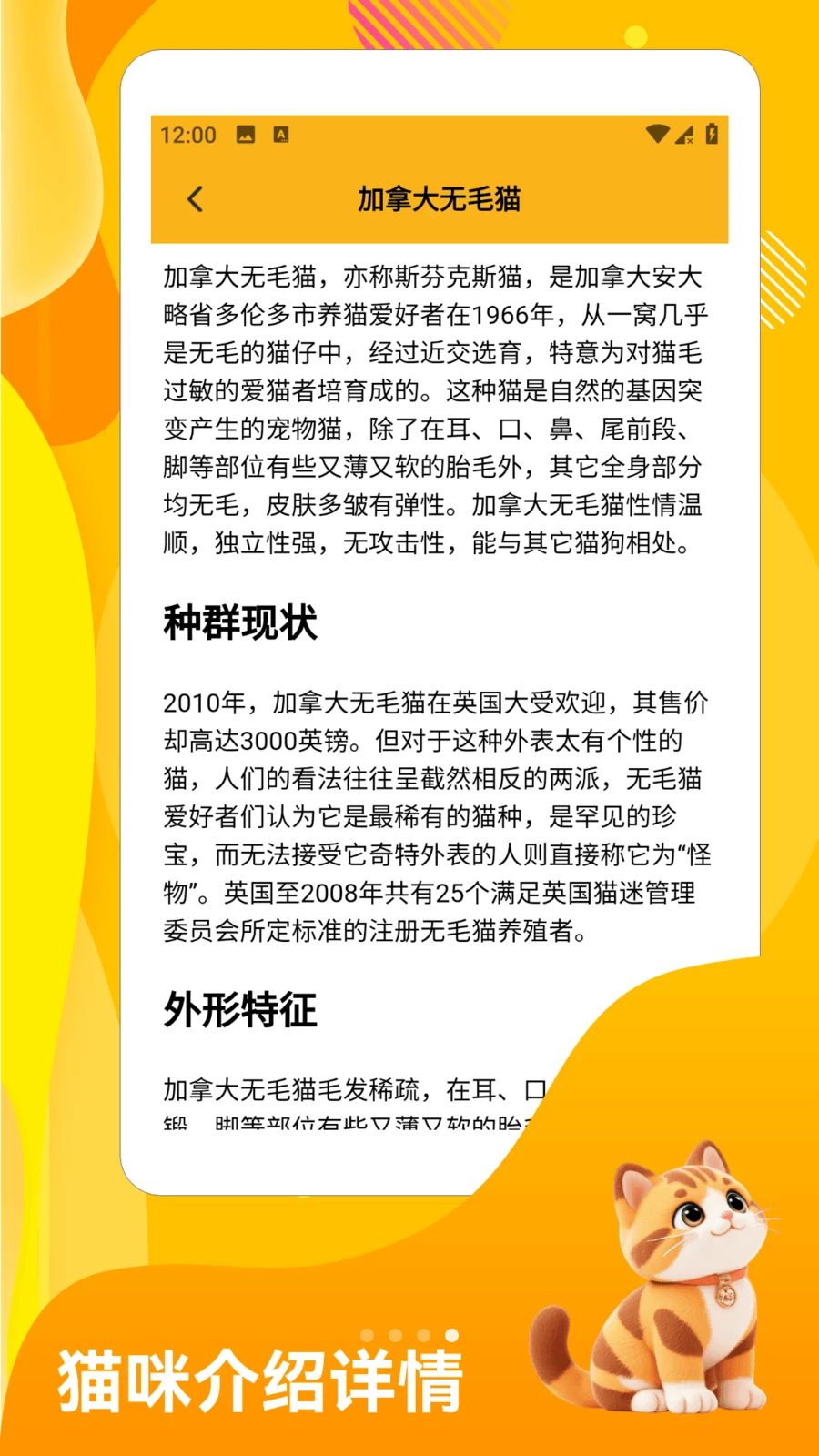 班级宠物园~猫咪品种