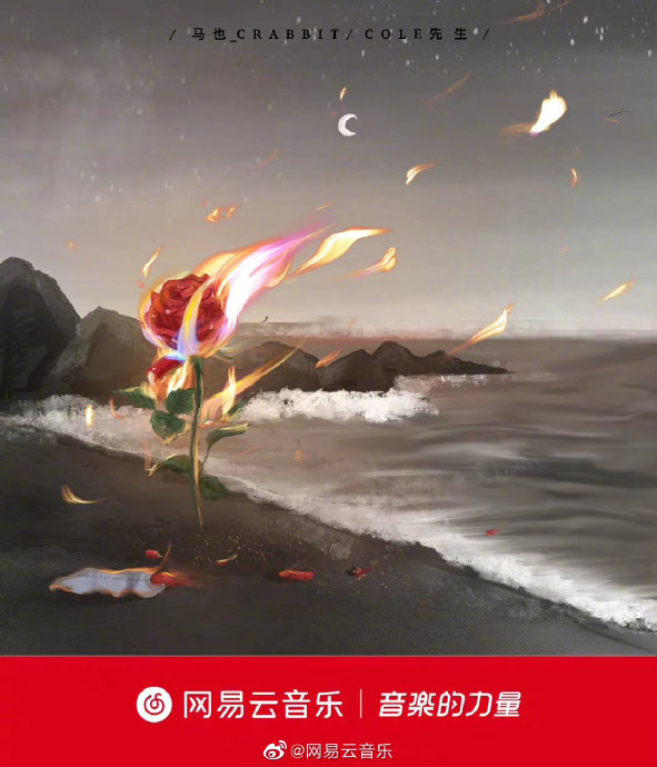是你 歌词情感共鸣 网友评论