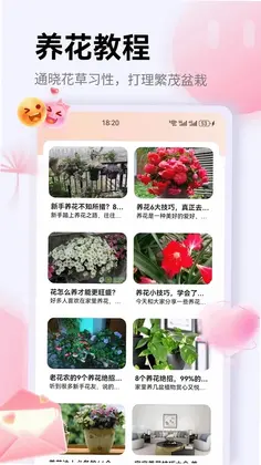 花信物预览图