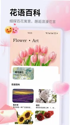 花信物预览图