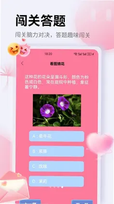 花信物预览图