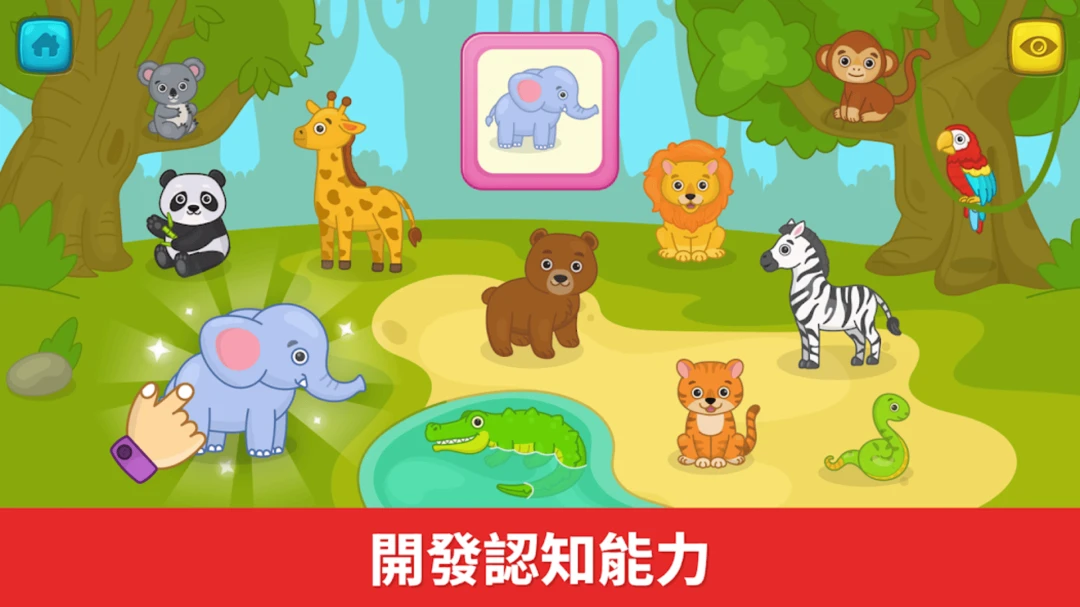 比米布抽认卡界面预览