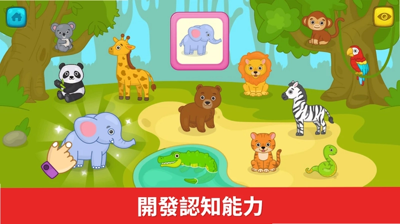 比米布抽认卡预览图