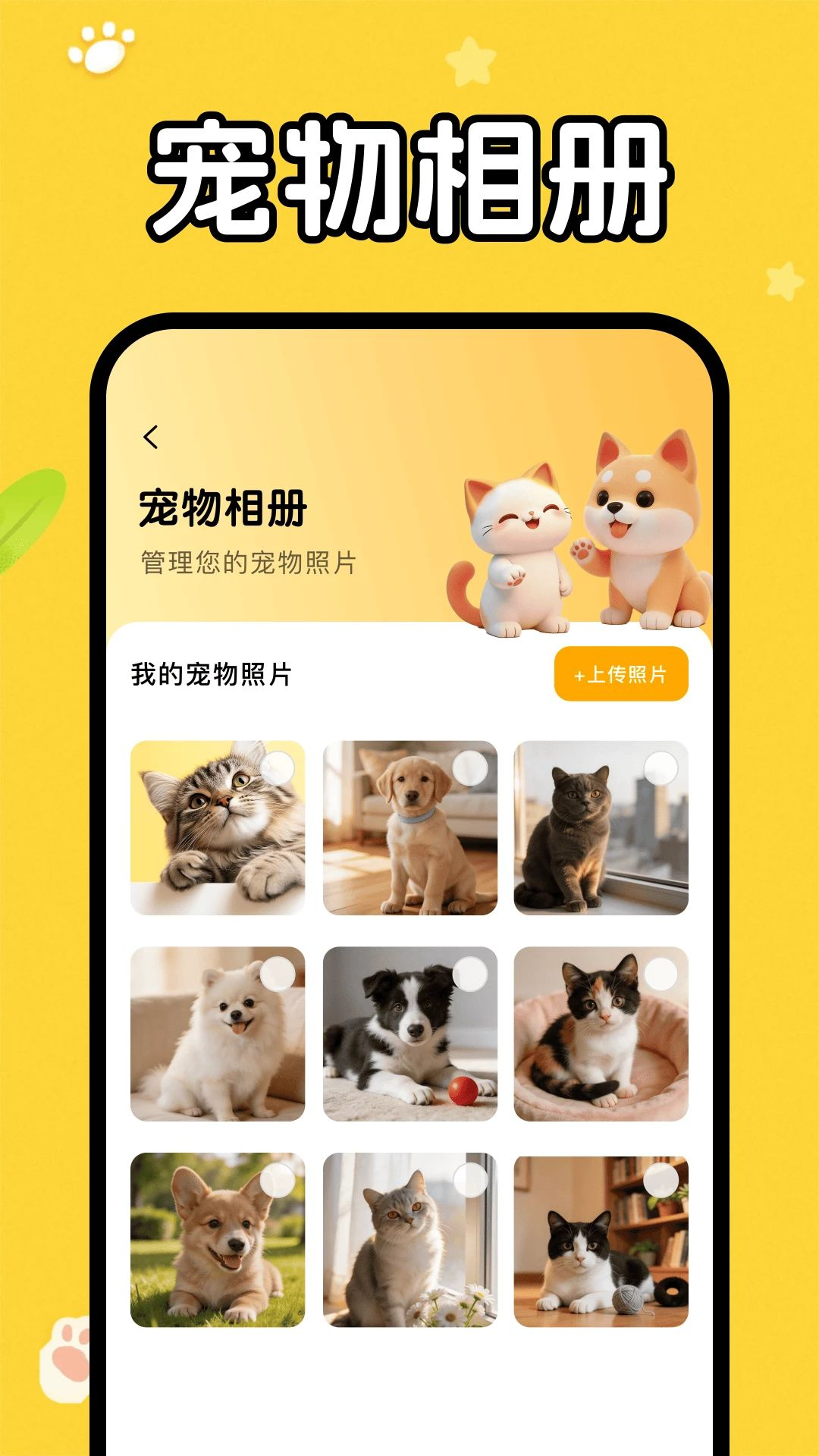 猫狗语音翻译器逗宠场景