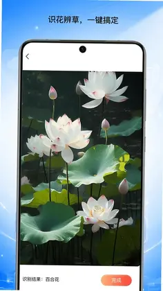 景烁文件站预览图
