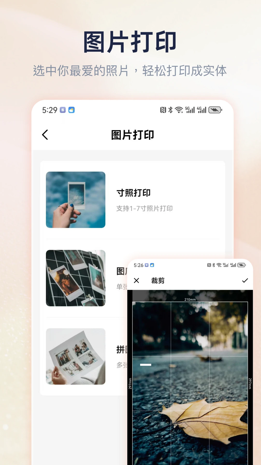Cam PRINT图片打印