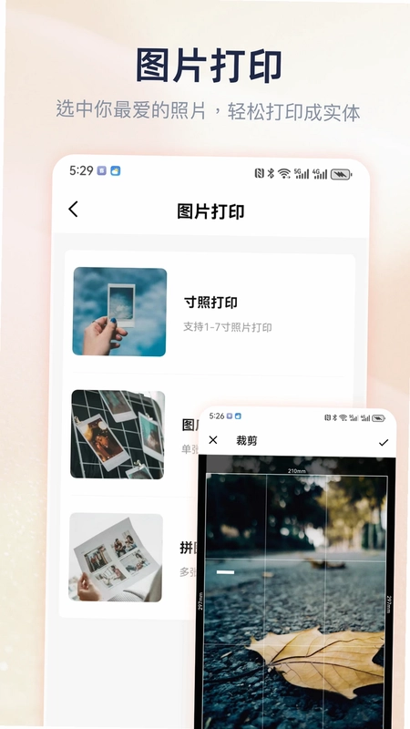 Cam PRINT预览图