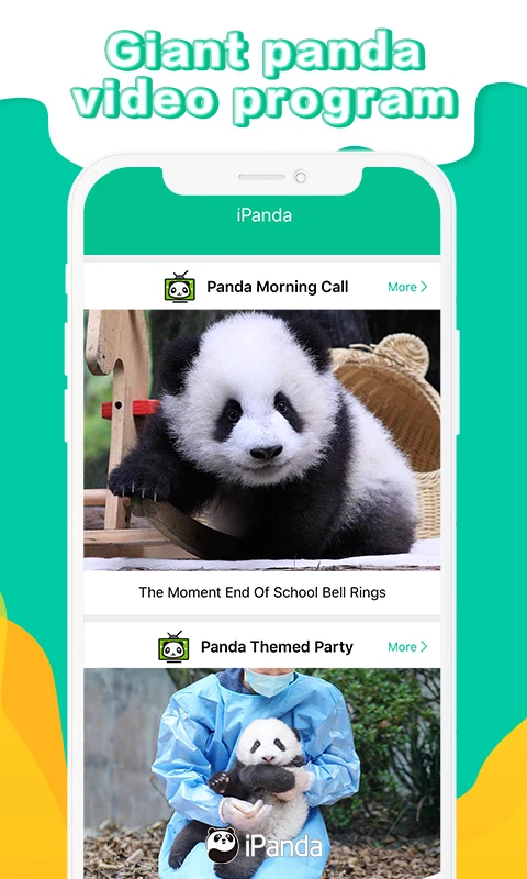 iPanda 熊猫科普内容