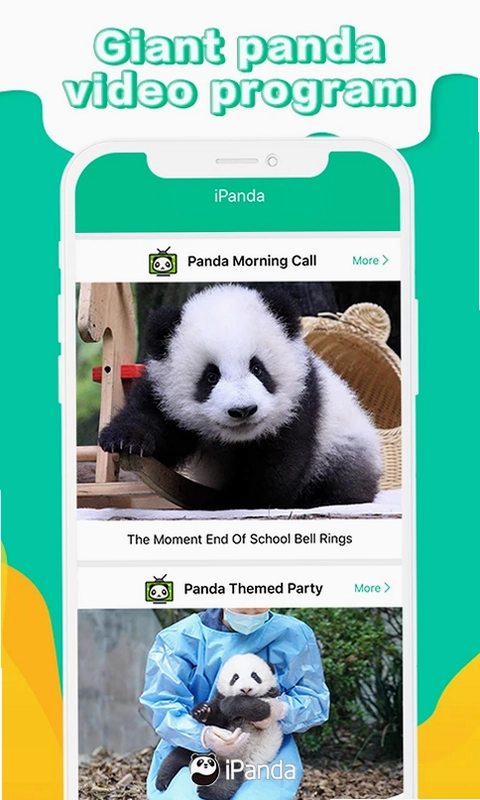 iPanda预览图