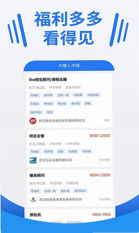 大楚人才网预览图