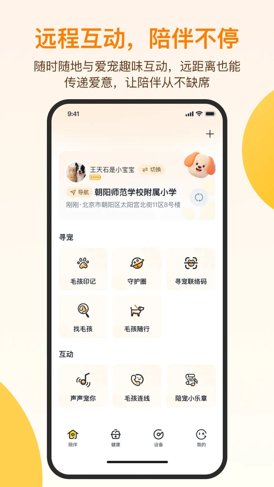 PawGlow运动记录分析