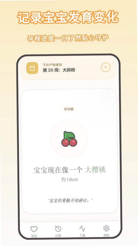怀孕记录预览图