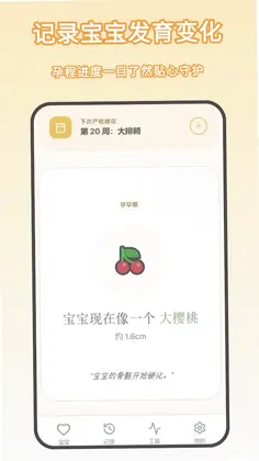 ���м�¼Ԥ��ͼ