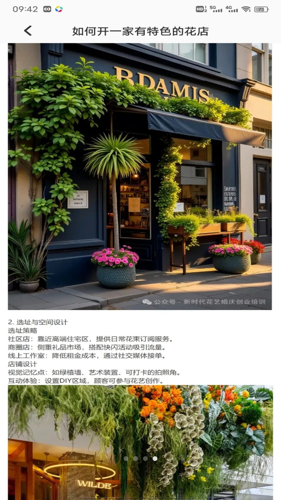 小镇花店植物档案