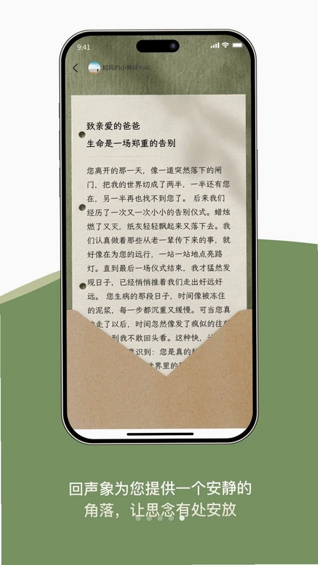 回声象预览图